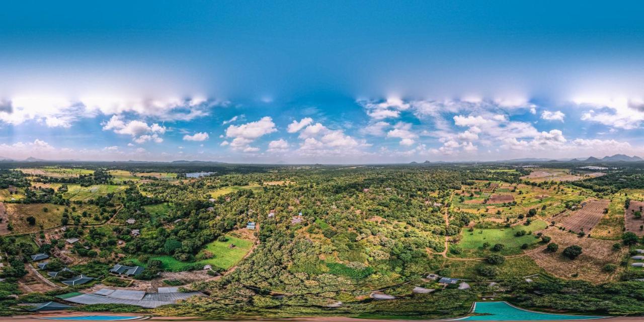 Nivadoo Resort Sigiriya Exterior photo View of the village from the top of the hill